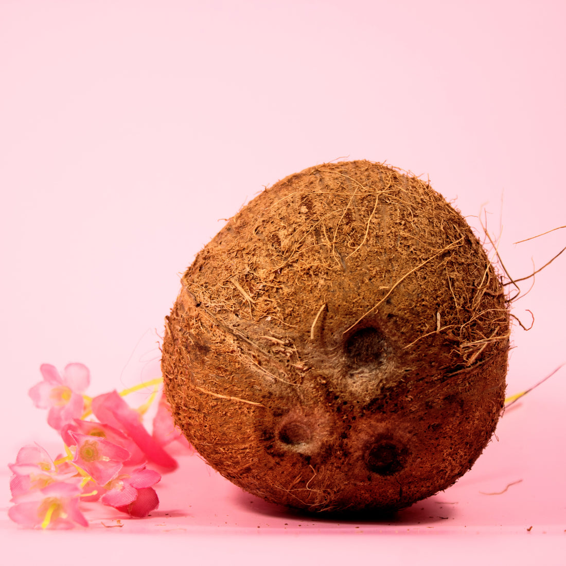 Reclaim Your Crown Coconut Milk Twisting Creme is a curl cream made with coconut milk